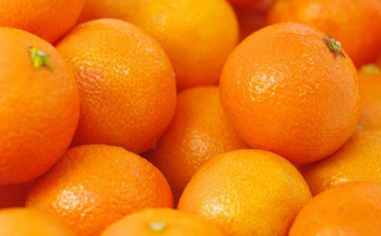 Washington Oriya Orange Muğla