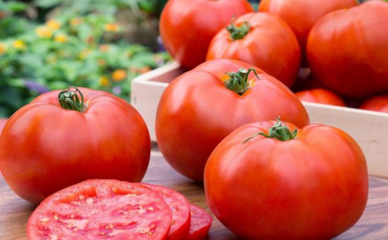 Muğla Oriya Tomato Imports And Exports