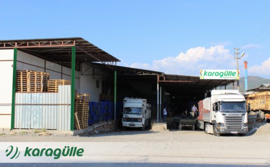 Muğla Ortaca Karagülle Ticaret