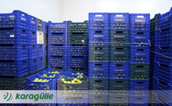 Muğla Ortaca Karagülle Ticaret