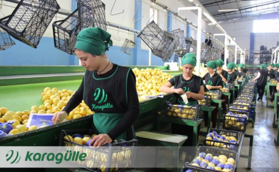 Muğla Ortaca Karagülle Ticaret